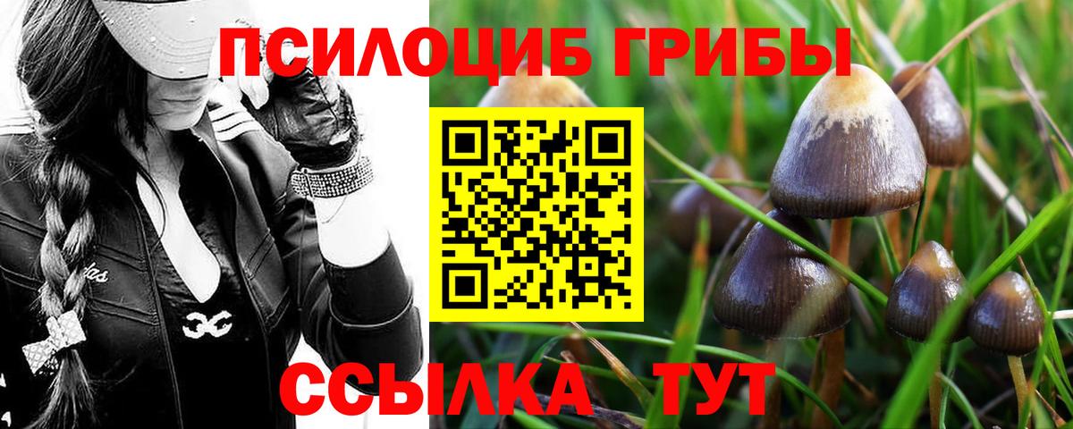Галлюциногенные грибы Cubensis Вольск